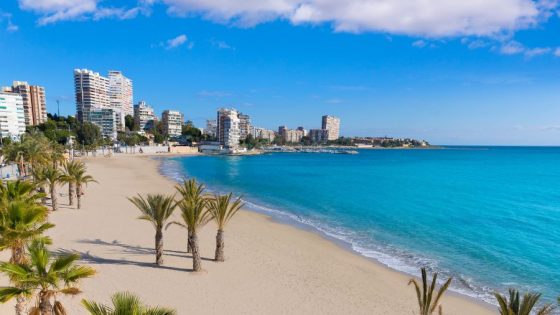 mudanzas en Alicante playa zonas turísticas